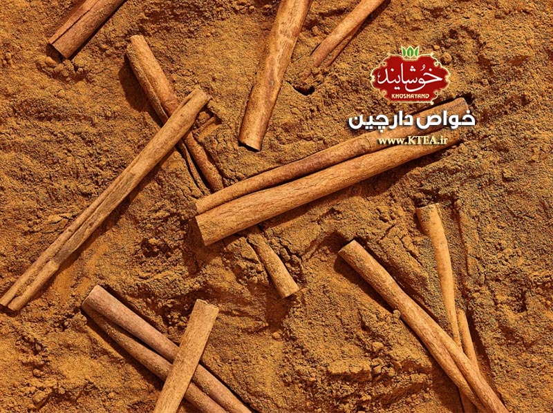 Properties of cinnamon